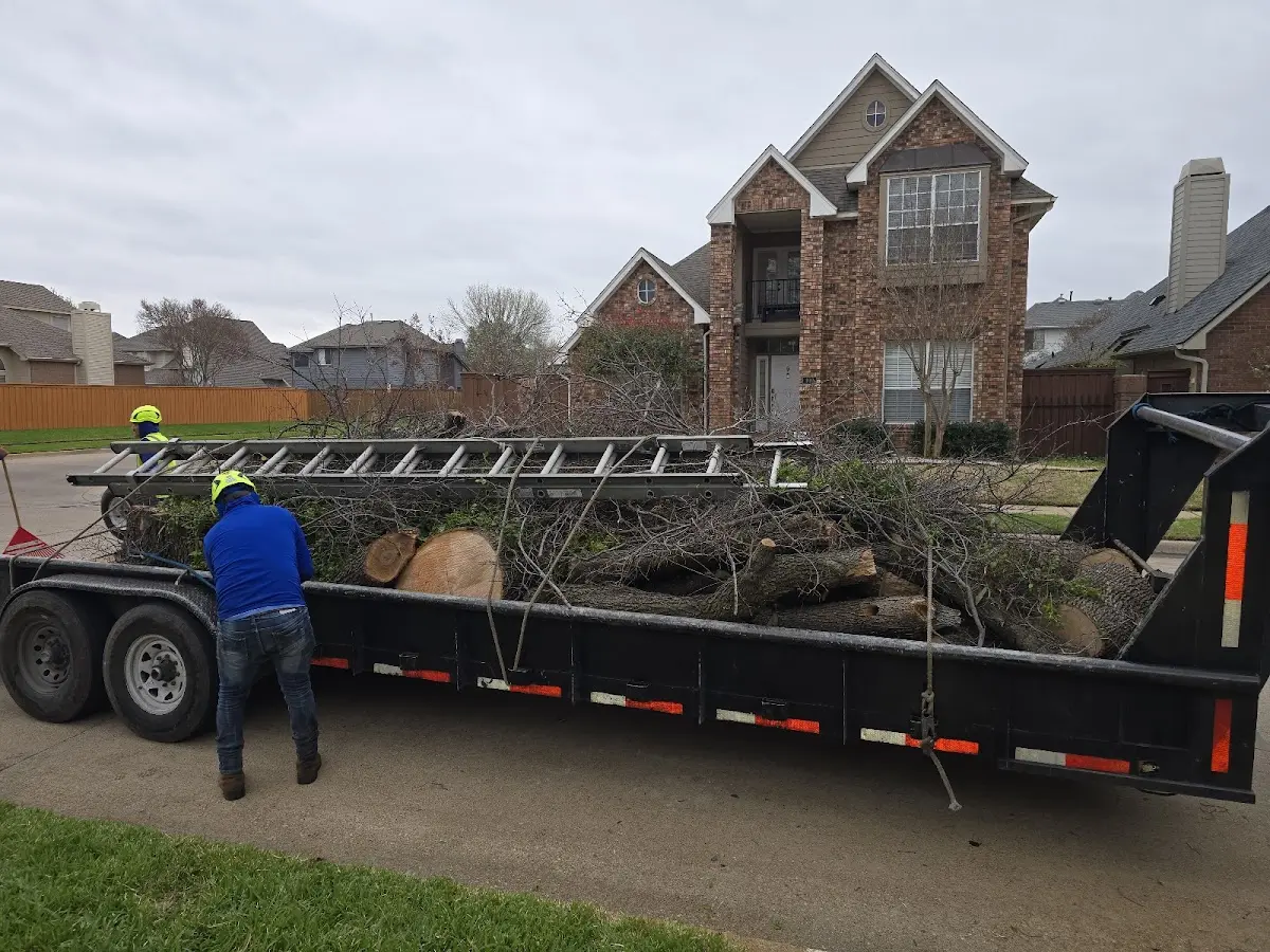 Expert Tree Removal with proper safety equipment in Newbern